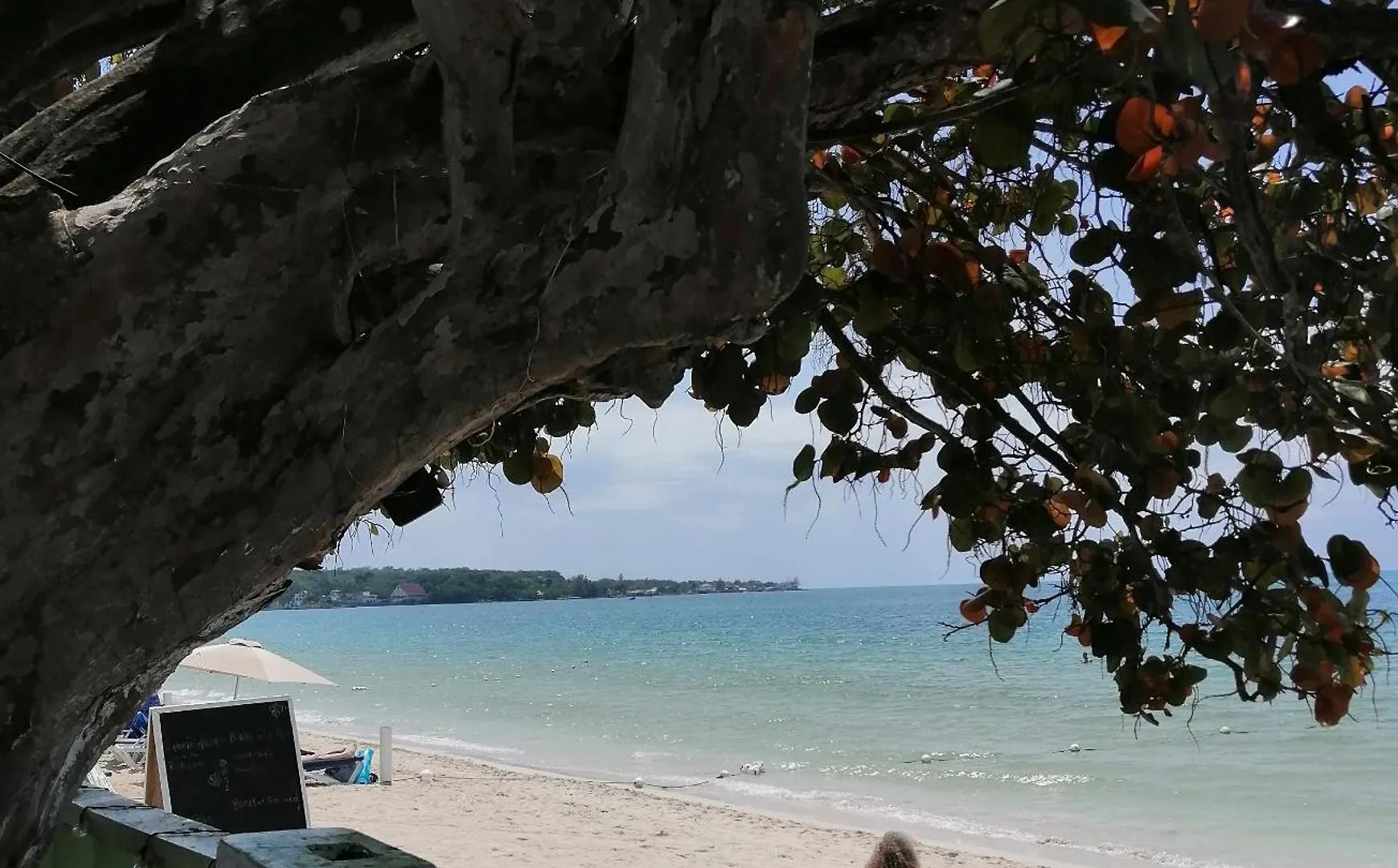 Yoga Dreams Negril 호텔