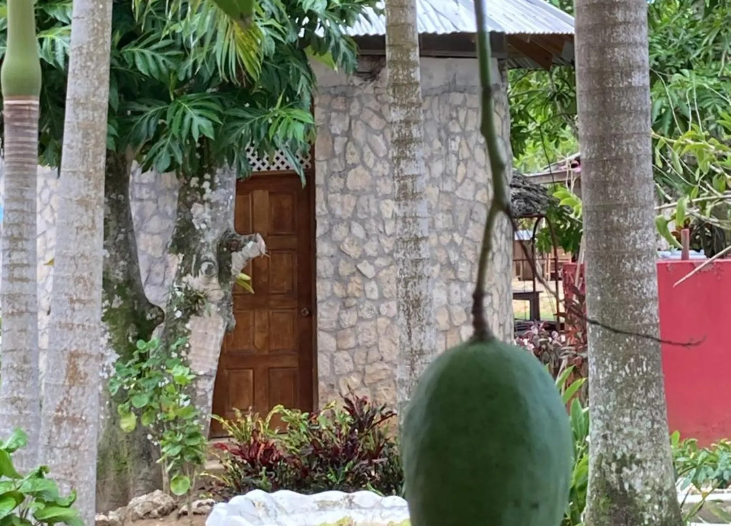 Yoga Dreams Negril 호텔