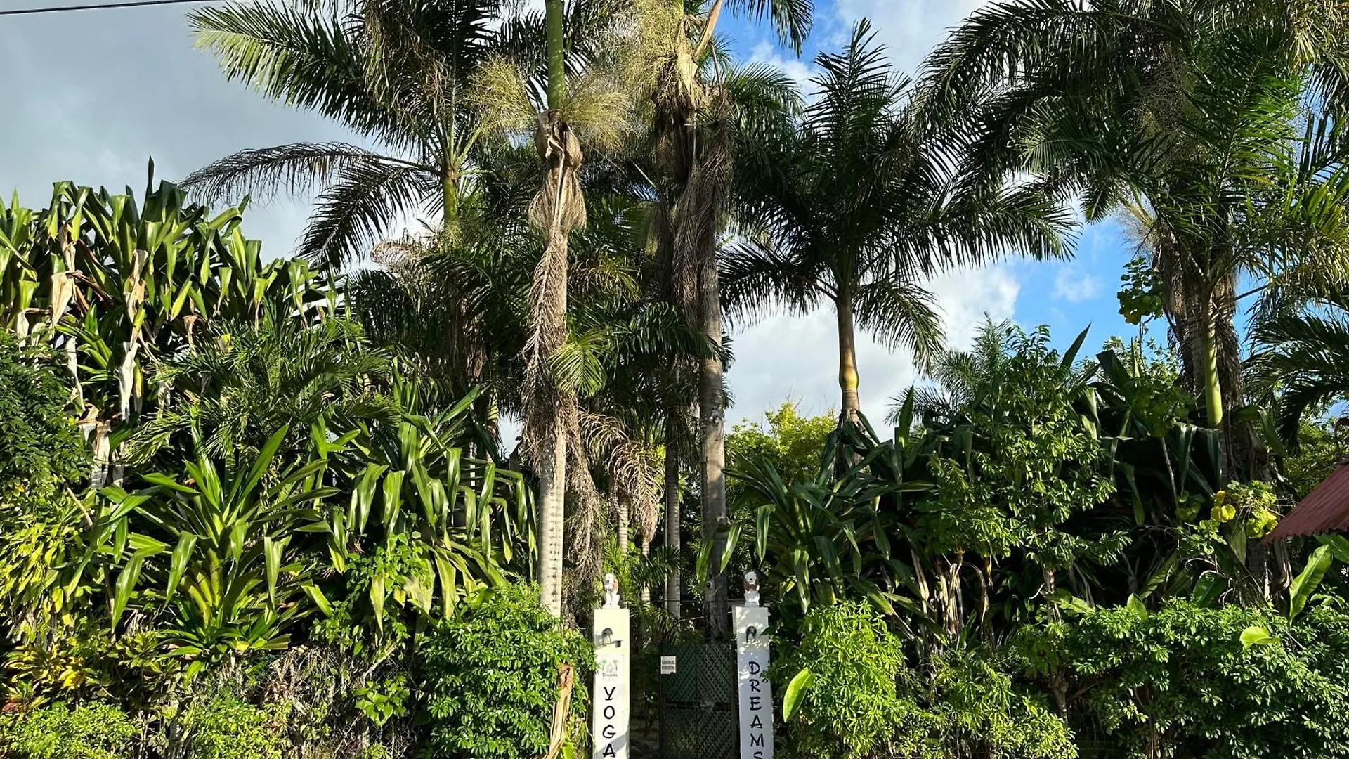 Hotel Yoga Dreams Negril 3*,  Jamajka