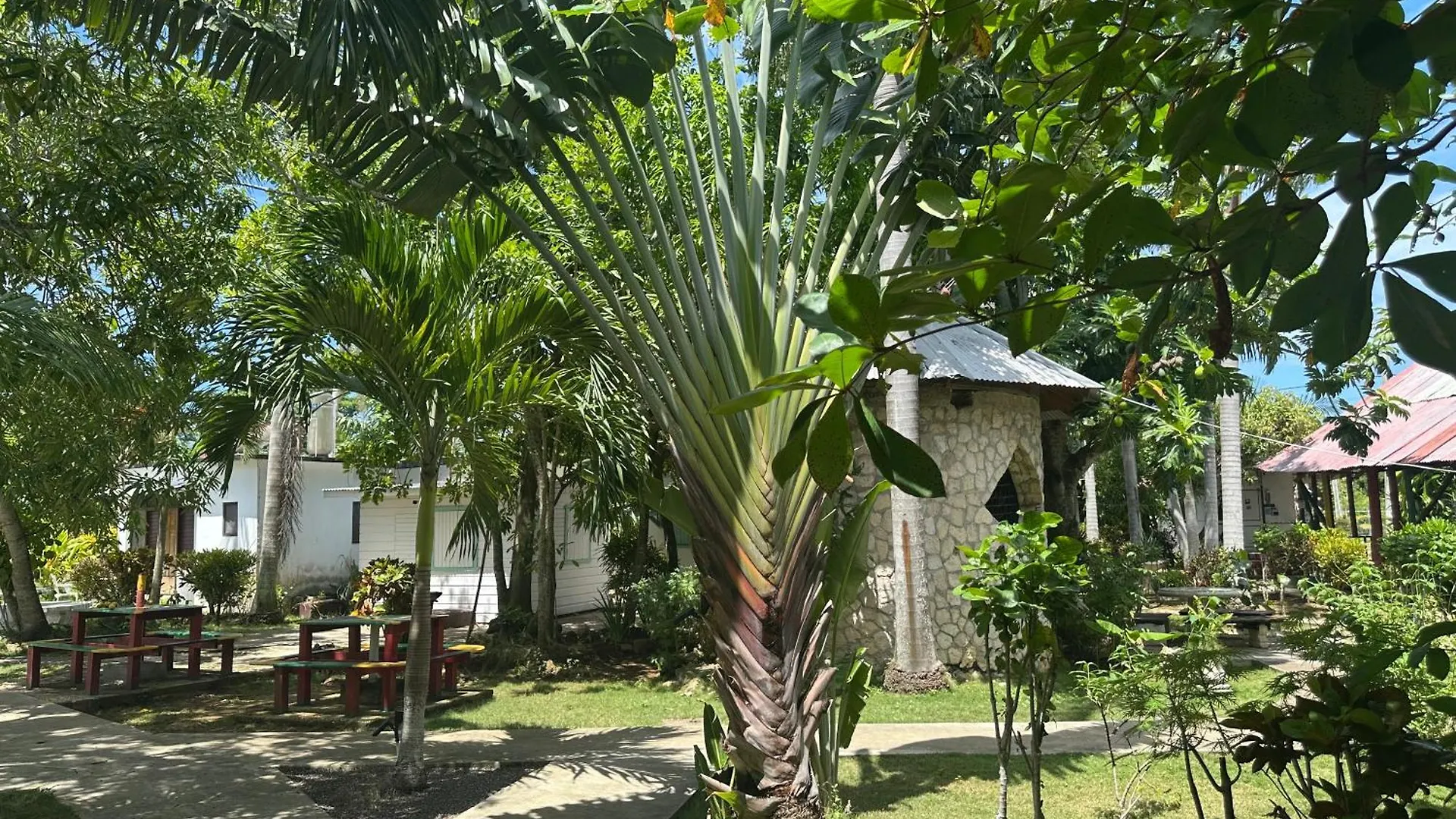Hotel Yoga Dreams Negril