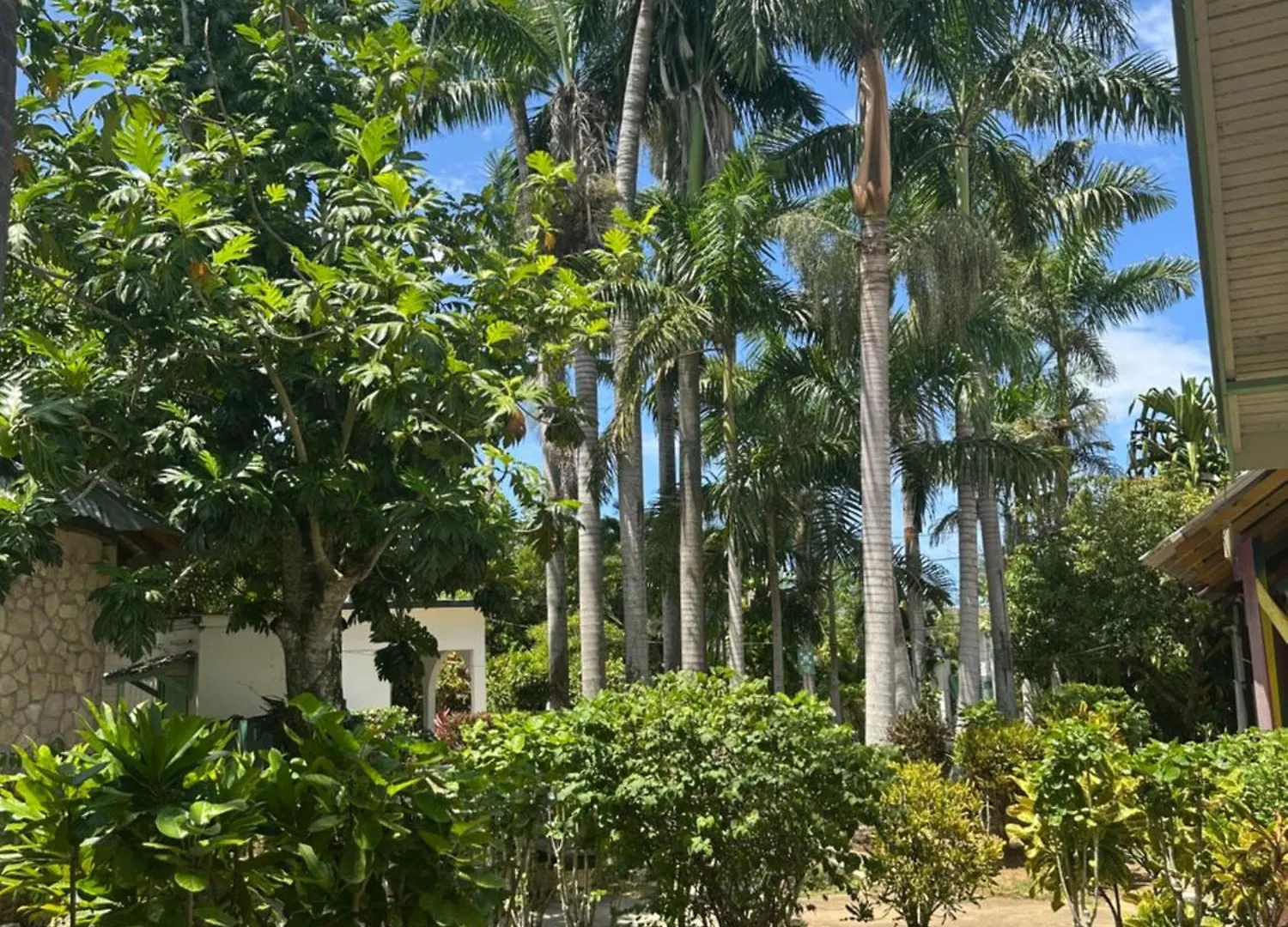 Hotel Yoga Dreams Negril