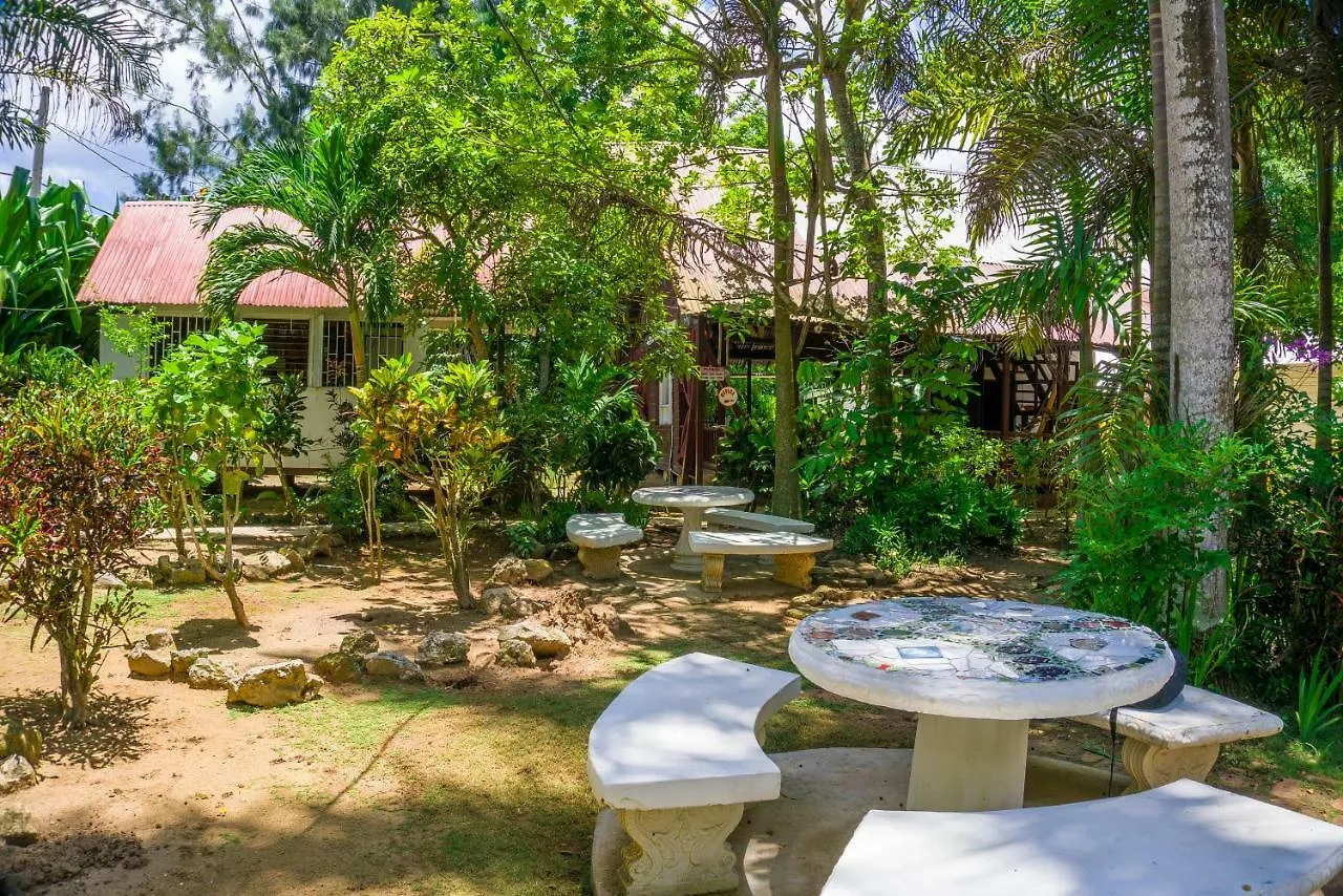 Hotel Yoga Dreams Negril